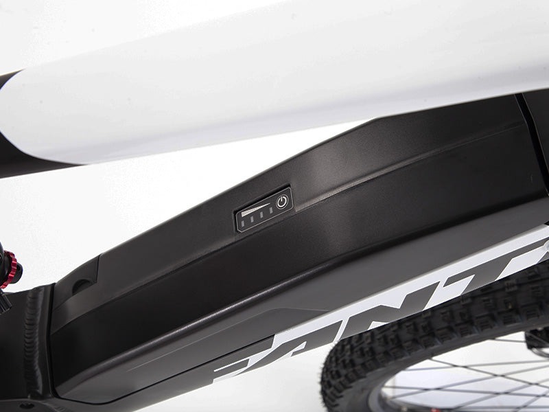 Fantic XEF 1.9 Racing LIMITIERTE EDITION