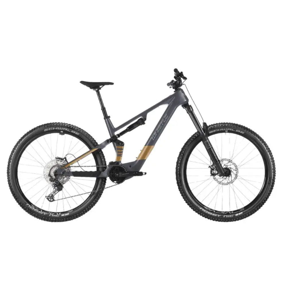 Whistle AXR C6.6
