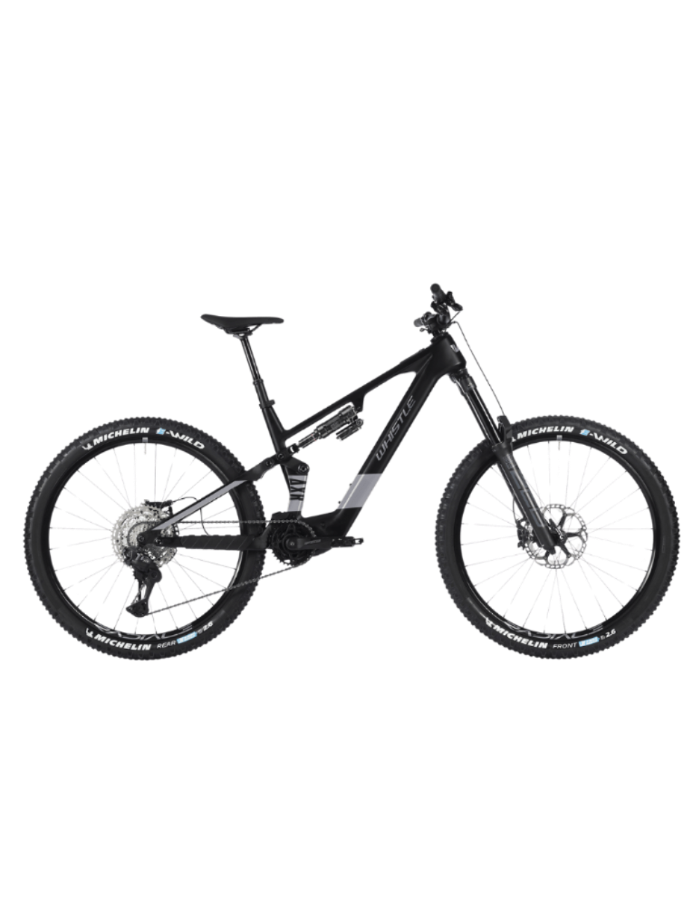 Whistle AXR C8.6
