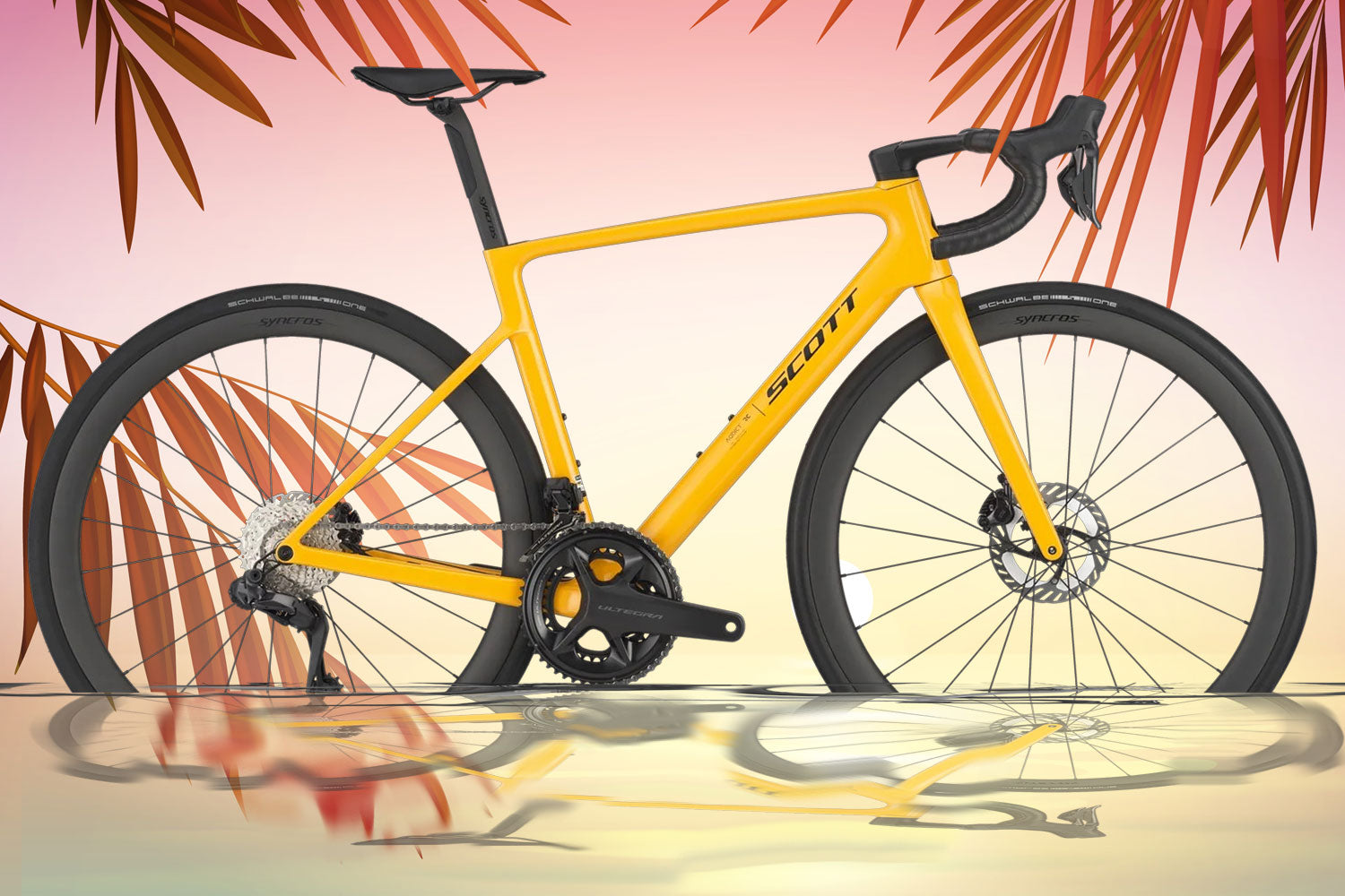 brand bicycle shop scott Foil RC Team Replica Bike - clear Its a carbon fiber hardtail racer with rock solid components Why Scott Bikes Are the