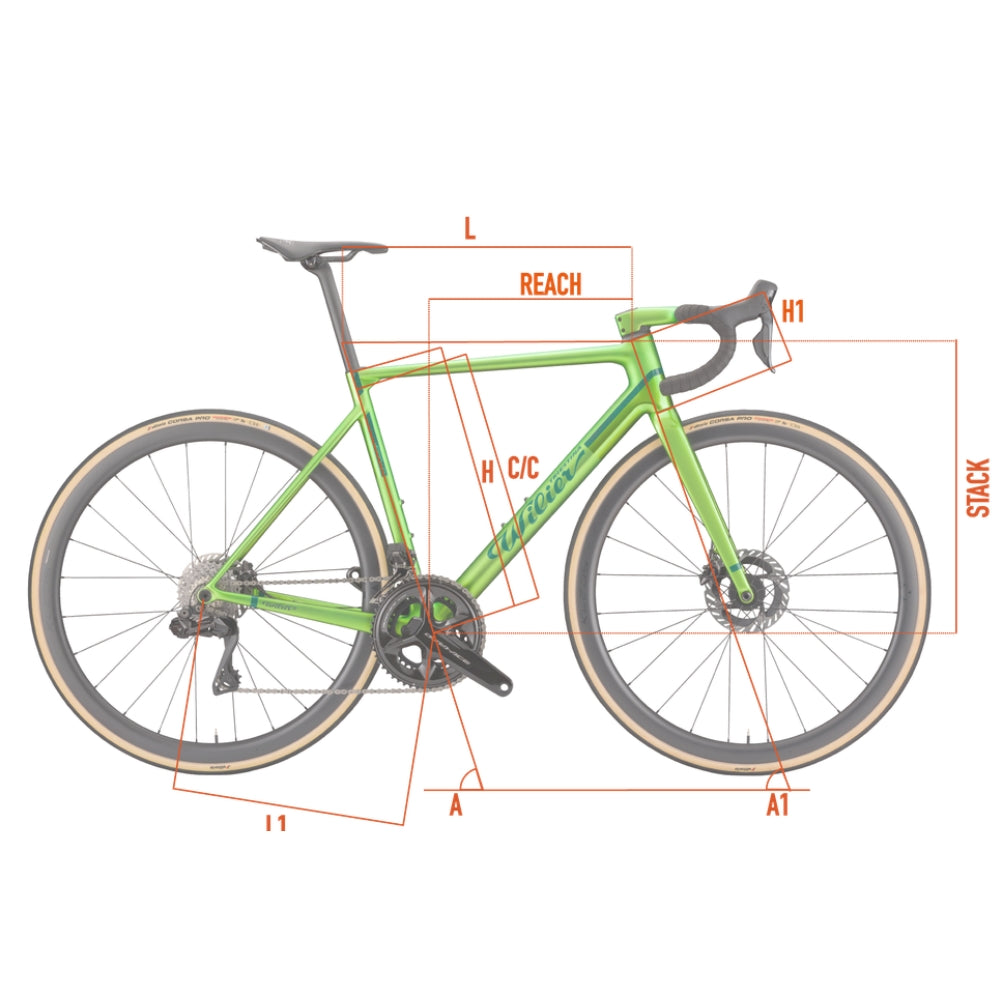 Wilier Verticale SLR Ultegra Di2 Ruote MICHE KLEOS 36 CARBON