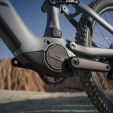 Amflow PR Carbon Pro