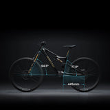 Amflow PL Carbon PRO