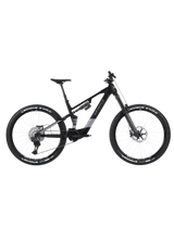 Whistle AXR C8.6