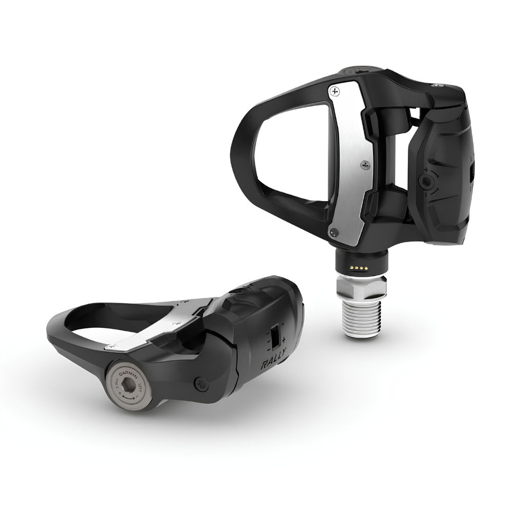 Garmin Rally RS210
