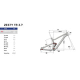 LAPIERRE Zesty TR 3.7 Silver