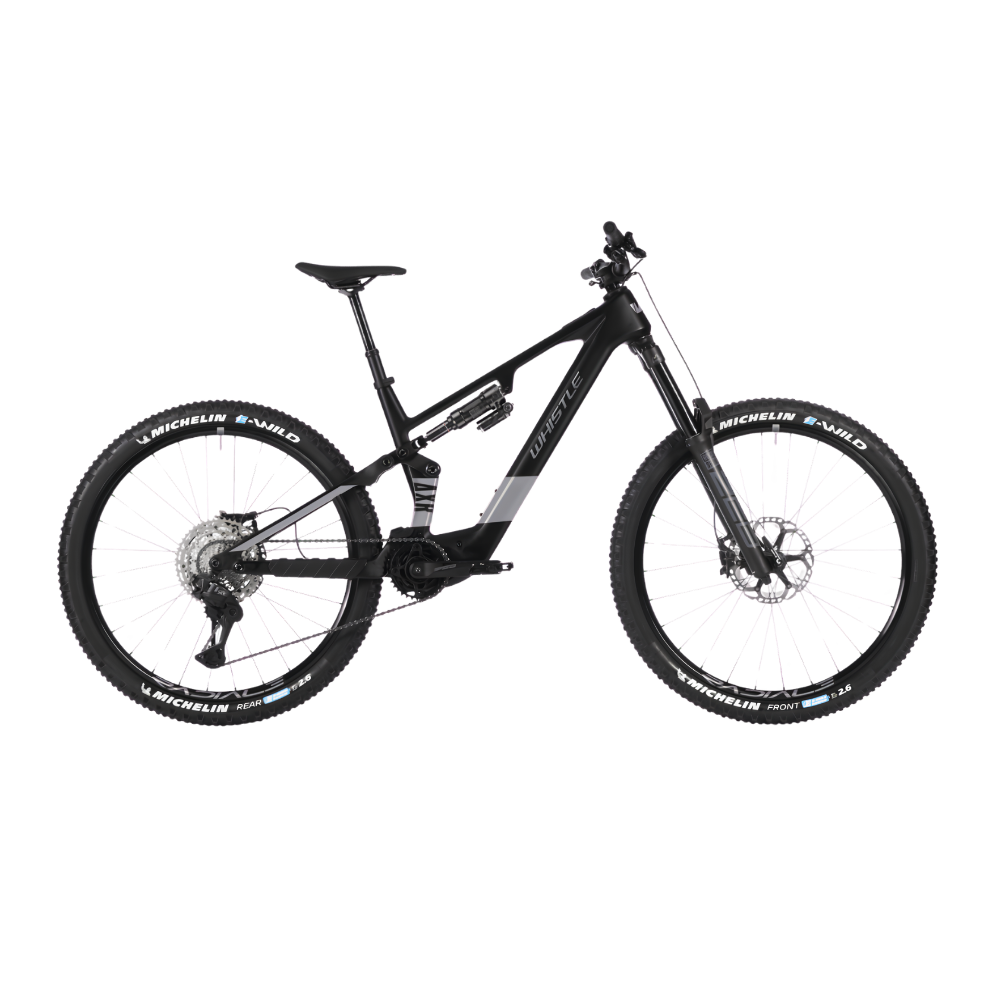 Whistle AXR C8.6