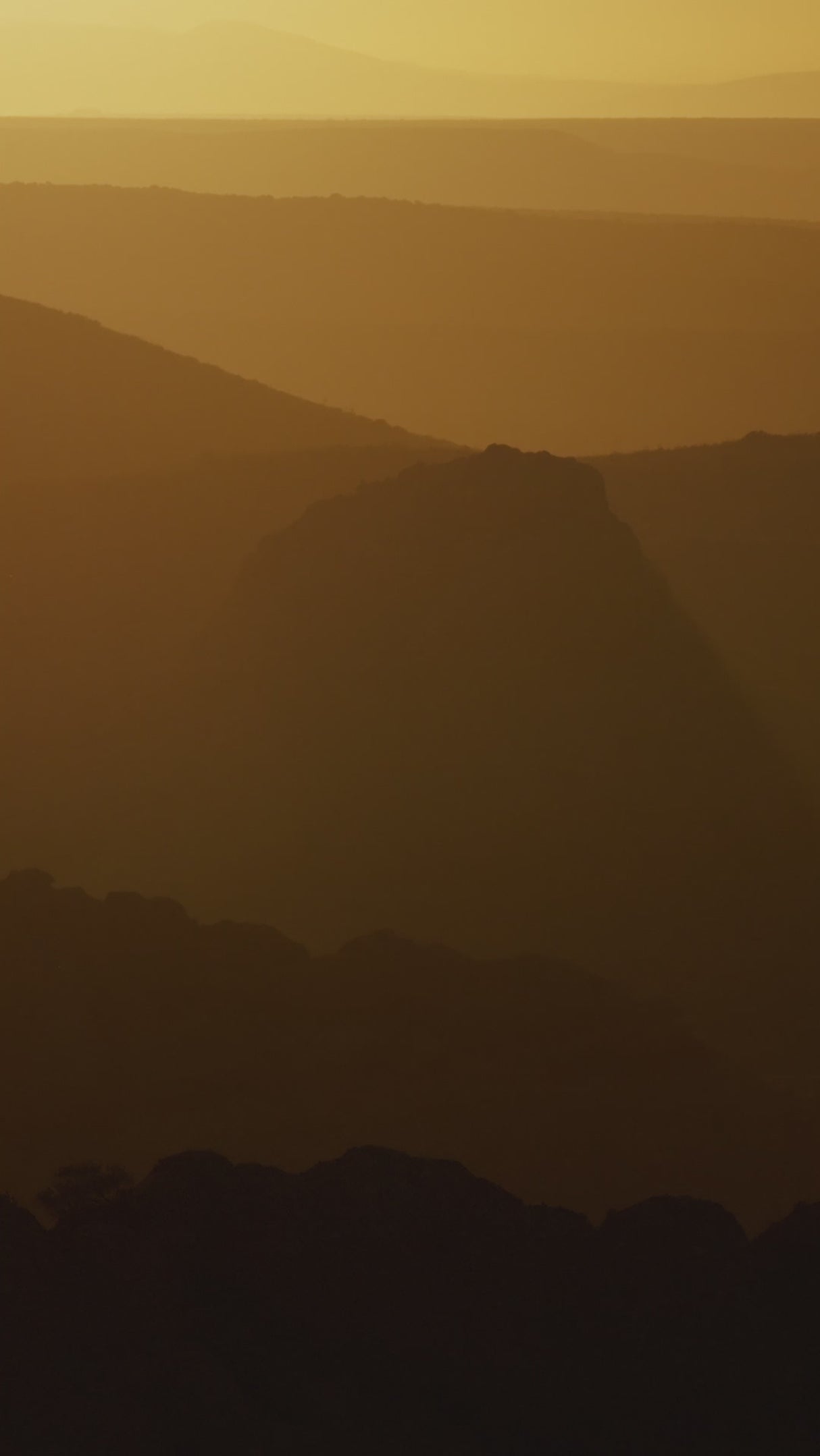 Amflow PR Carbon Pro