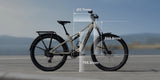 Amflow TL Carbon